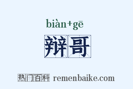 辩哥是什么意思的图片